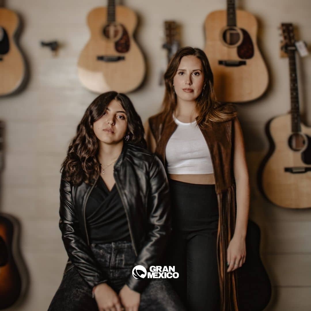 Chaleco de piel color café