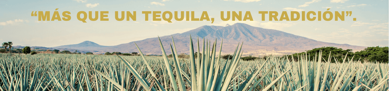 Tequila Hacienda Vieja Reposado